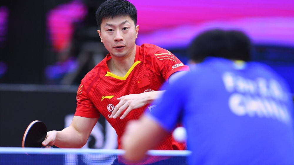 观赛体验 观赛体验